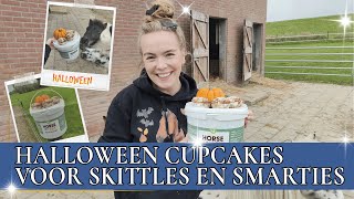 Skittles en Smarties krijgen een spookachtige traktatie  PaardenpraatTV [upl. by Denby]