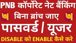 Pnb Corporate Internet Banking Disable Password Enable कैसे करें CUSER पासवर्ड Change कैसे करे 🤔🤔 [upl. by Nyraa939]