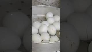 ll 😱😱 newviralshorts eggs videos youtube pramod indian recipe viraltone soyummy 😋😋ll [upl. by Giwdul]