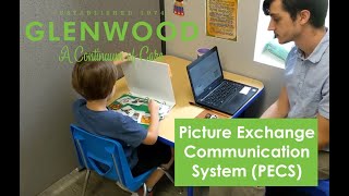 Introduction to PECS Picture Exchange Communication System [upl. by Weil]