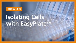 How to Isolate Cells in 96Well Plates Using the EasyPlate™ Cell Separation Magnet [upl. by Amihc]