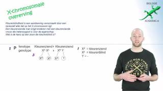 genetica  Xchromosomale kruising [upl. by Yhcir895]