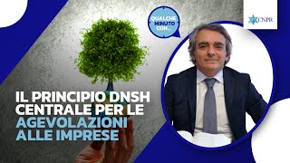 Alessandro Pescari  Il principio DNSH centrale per le agevolazioni alle imprese [upl. by Enymzaj]