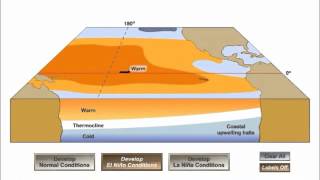 El Nino  La Nina cycle [upl. by Geminius]