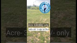 330 Acres Agriculture land sale  Anantapur kanekallu mandal  Acre  350000 only  Agreement [upl. by Akieluz297]