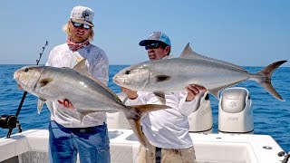 Absolutely INSANE Topwater Amberjack Fishing Action  4K [upl. by Nyvets]