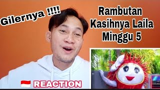 Rambutan  Kasihnya Laila  The masked singer  Minggu 5 🇮🇩 REACTION [upl. by Brieta886]