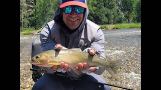 2023 Montana Fly Fishing  Day 3  Bitterroot River [upl. by Kela952]