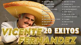 VICENTE FERNANDEZ MIX ROMANTICAS VIEJITAS PARA ADOLORIDOS LAS MEJORES RANCHERAS MEXICANAS [upl. by Efron]