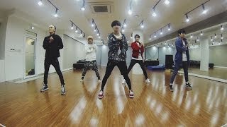 SHINee 샤이니 Everybody Dance Practice [upl. by Yeldua565]