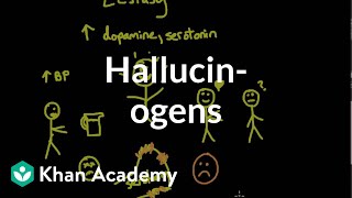 Psychoactive drugs Hallucinogens  Processing the Environment  MCAT  Khan Academy [upl. by Nwahsiek]