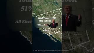 USA Election Process usa usaelections2024 donaldtrump facts reels [upl. by Melita]