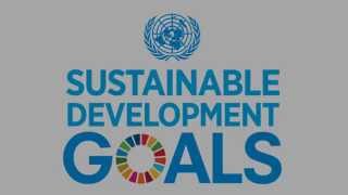 Sustainable Development Goals 2030 The Zimbabwe We Want [upl. by Aihsoj]