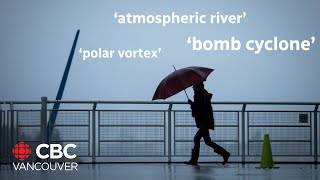 Does jargon like bomb cyclone help or hinder understanding of weather [upl. by Yeniffit746]