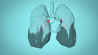 WHO Breathe Life  How air pollution impacts your body [upl. by Morton]