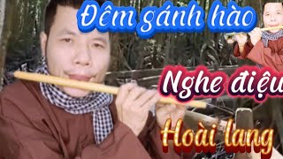 Đêm gánh hào nghe điệu hoài lang stVũ Đức Sao Biển cover beat C5 [upl. by Anetta998]