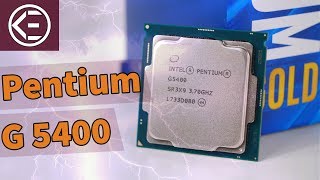 Ist INTELS NEUER 60 EURO PROZESSOR GUT Pentium Gold G5400 Review [upl. by Alpert819]