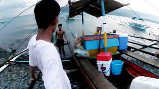 Wow Grabe Ang Jackpot sa mga Mamahaling Isadang Huli fishing fish viralvideo [upl. by Rettig742]