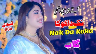 Nak Da Koka  Qaidi 804 Howay  Singer Gulaab  New Full Punjabi Song 2024 [upl. by Eilahtan593]