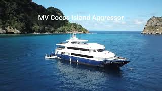 DIVING COCOS ISLAND COSTARICA2024MV AGGRESSOR [upl. by Aerdnaz]