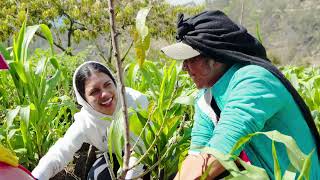 Voluntariado Promericano Ecuador 2024 [upl. by Annayrb684]