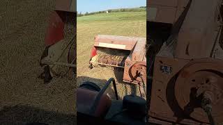 1586 International Harvester Tractor baling Soybeans and Crabgrass for goats [upl. by Elmo452]