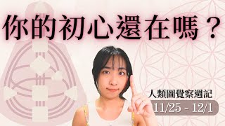 對焦目標的計劃才有意義｜11251201｜9 號閘門、16 號閘門｜人類圖覺察週記 [upl. by Ahsiniuq]