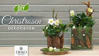 DIYWeihnachtsdeko Christrosen effektvoll dekorieren How to Deko Kitchen [upl. by Rosemarie]