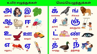 உயிர் எழுத்துக்கள்  மெய் எழுத்துக்கள்  tamil alphabets  Uyir Ezhuthukal  Tamil Alphabets [upl. by Ethbinium]