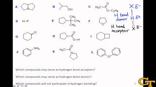 CHEM 405  Hydrogen Bond Acceptors and Donors [upl. by Hanoj]