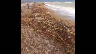 lo que el dana dejó el las playas de benicarló [upl. by Abigail]