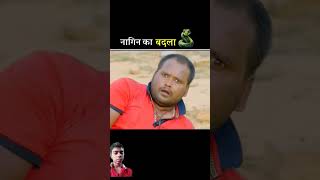 नागिन का बदला😡 story nagin snake amazingfacts factsinhindi shortfeed facts funnynagin [upl. by Elinad]