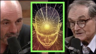 Joe Rogan  Mathematician on Trying to Measure Consciousness [upl. by Oicnedif516]