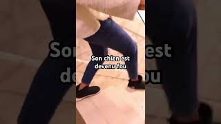 Group Verity et Chelsea prank humour prt funny percer shortsclip [upl. by Aliuqa]