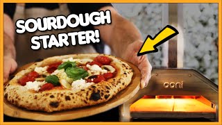 Neapolitan sourdough pizza dough full recipe 🍕 [upl. by Hadihahs244]