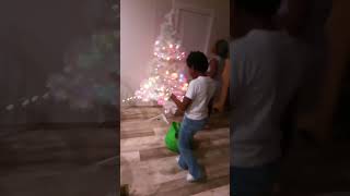 Kids putting up christmas tree [upl. by Lovering]