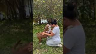 Video of adoptable pet named Cinnamon [upl. by Philips305]