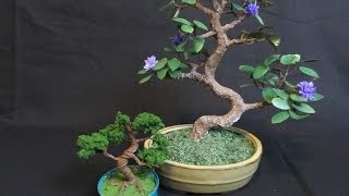 Make a Bonsai Tree out of Wire [upl. by Lanny]