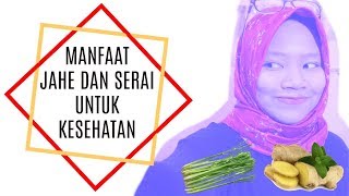 MANFAAT JAHE DAN SERAI UNTUK KESEHATAN  DIY MINUMAN HERBAL ALAMI BERAGAM MANFAAT  INDONESIA [upl. by Ariaz944]