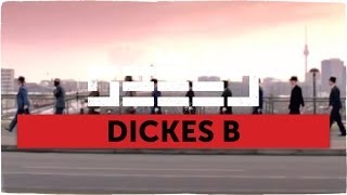 Seeed  Dickes B official Video [upl. by Attelrak695]