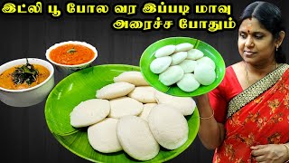 Idli in tamil  மல்லிகை பூ இட்லி இப்படி செஞ்சு அசத்துங்க  Poondu chutney  Karuveppilai chutney [upl. by Gery]