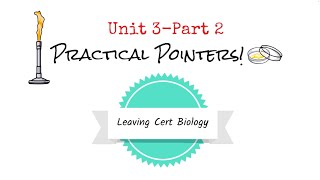 Unit 3 Practicals Part 2 Biology Bugbears Practicals 2024 [upl. by Aimat267]