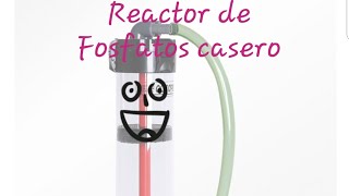 REACTOR DE FOSFATOS CASERO DIY phosBan Reactor [upl. by Row731]