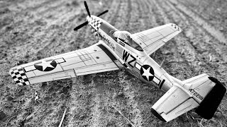 Mustang P51 FMS 1450 [upl. by Piks269]