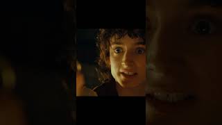 Frodo Profane Baggins lordoftherings lordoftheringsmemes parody lotrmemes memes parody [upl. by Menon514]