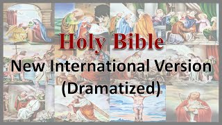 AudioBible NIV 42 Luke Dramatized New International Version High Quality [upl. by Ardnic]