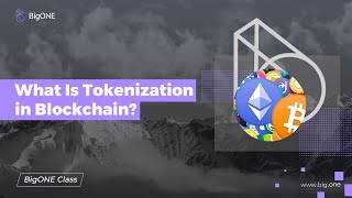 What Is Tokenization in Blockchain [upl. by Eilla]