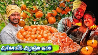 FARM FRESH ORANGE HARVESTING  ஆரஞ்சு தோல் la விளக்கு [upl. by Eldoree313]