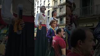 BARCELONA FIESTA DE LA MERCE Part 3 shorts shortvideo everyone followers highlights barcelona [upl. by Nnyre]