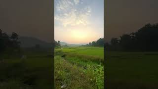 Sukoon hai yaha relaxingmusic music nature love relaxing amansworld [upl. by Llehsar]